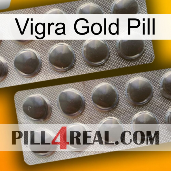 Vigra Gold Pill 31.jpg